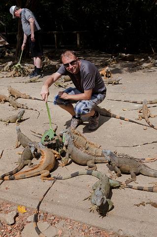 58 Honduras, Roatan, Sherman's Iguanas Refuge.jpg